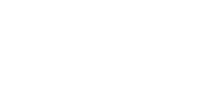 AP Home Inspections, PLLC logo light